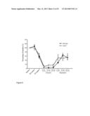 Small Heat Shock Proteins and Active Fragments Thereof as a Therapy for     Inflammation and Ischemia diagram and image