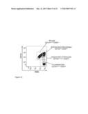 Small Heat Shock Proteins and Active Fragments Thereof as a Therapy for     Inflammation and Ischemia diagram and image