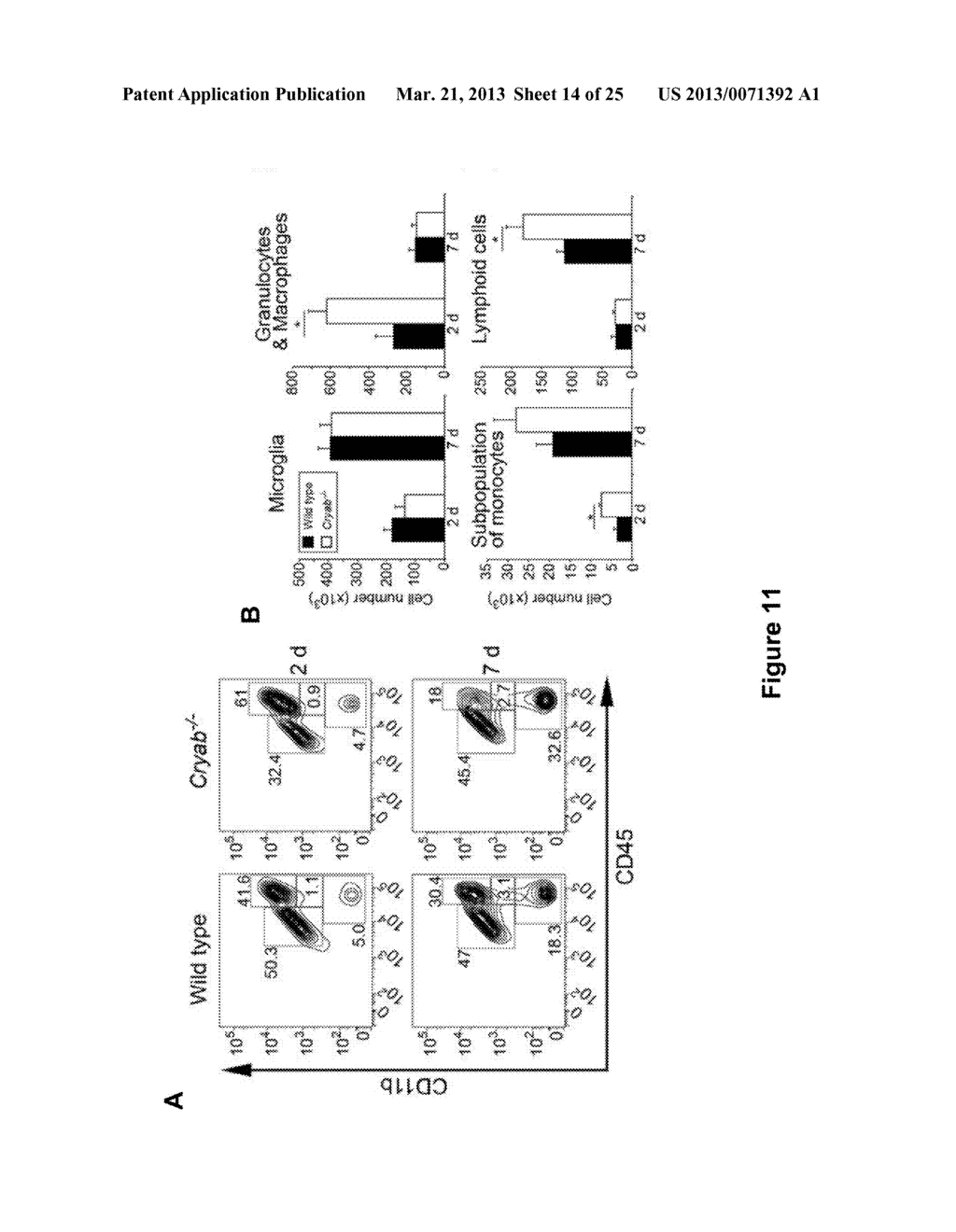 Small Heat Shock Proteins and Active Fragments Thereof as a Therapy for     Inflammation and Ischemia - diagram, schematic, and image 15