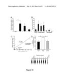 Small Heat Shock Proteins and Active Fragments Thereof as a Therapy for     Inflammation and Ischemia diagram and image