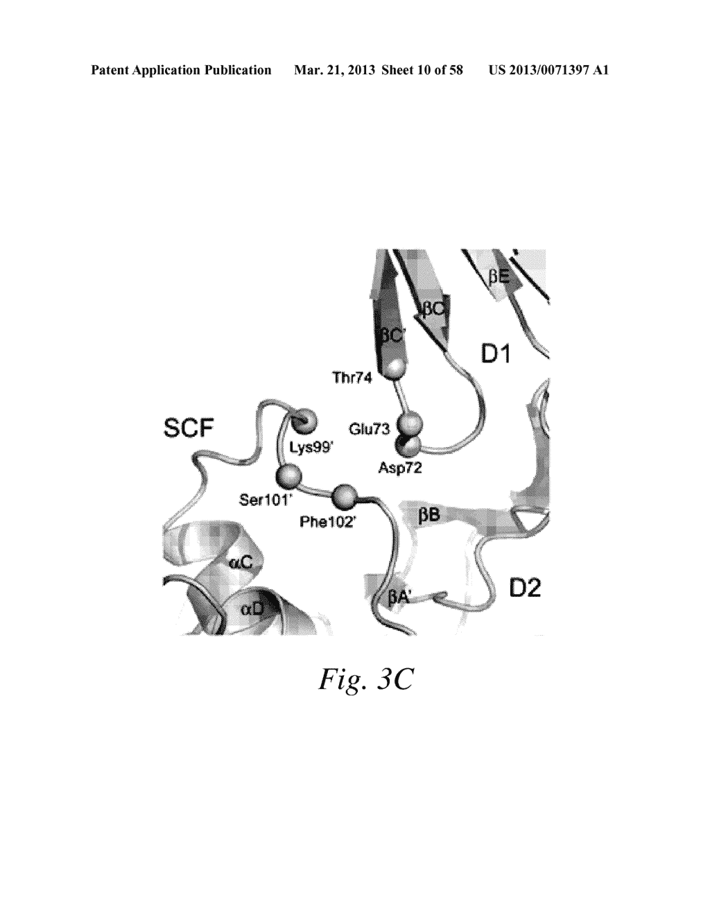 INHIBITORS OF VASCULAR ENDOTHELIAL GROWTH FACTOR (VEGF) RECEPTORS AND     METHODS OF USE THEREOF - diagram, schematic, and image 11