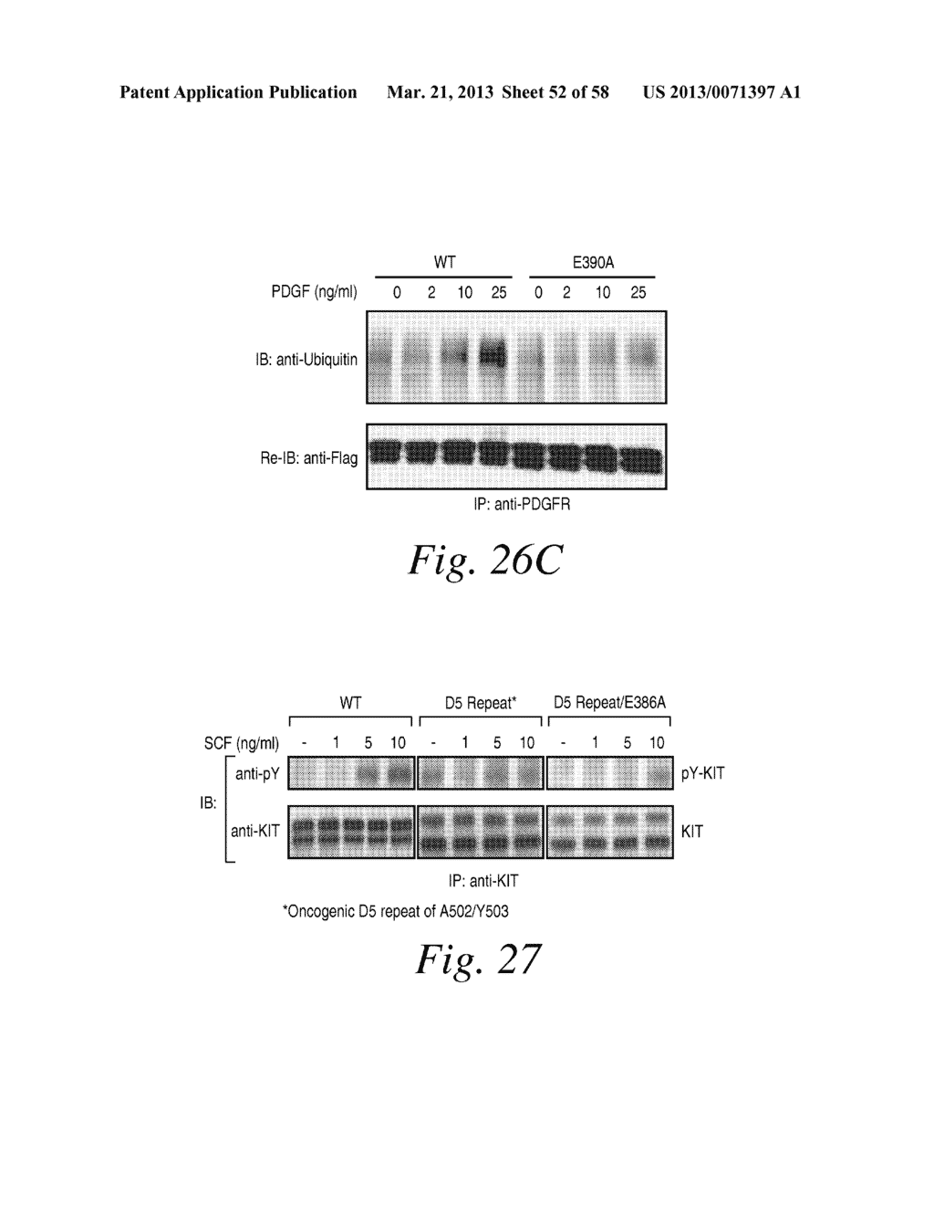 INHIBITORS OF VASCULAR ENDOTHELIAL GROWTH FACTOR (VEGF) RECEPTORS AND     METHODS OF USE THEREOF - diagram, schematic, and image 53