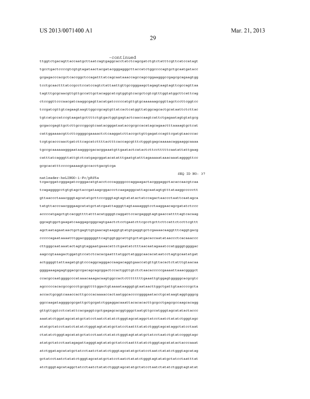 LINGO binding molecules and Pharmaceutical Use Thereof - diagram, schematic, and image 38