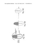 METHODS FOR MODULATING HEMATOPOIESIS AND VASCULAR GROWTH diagram and image