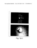 METHODS FOR MODULATING HEMATOPOIESIS AND VASCULAR GROWTH diagram and image