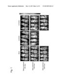 MICRORNA-CONTROLLED RECOMBINANT VACCINIA VIRUS AND USE THEREOF diagram and image