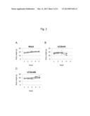 MICRORNA-CONTROLLED RECOMBINANT VACCINIA VIRUS AND USE THEREOF diagram and image