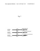 MICRORNA-CONTROLLED RECOMBINANT VACCINIA VIRUS AND USE THEREOF diagram and image