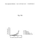 MICRORNA-CONTROLLED RECOMBINANT VACCINIA VIRUS AND USE THEREOF diagram and image