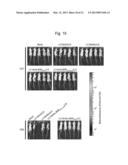 MICRORNA-CONTROLLED RECOMBINANT VACCINIA VIRUS AND USE THEREOF diagram and image