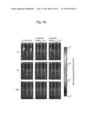 MICRORNA-CONTROLLED RECOMBINANT VACCINIA VIRUS AND USE THEREOF diagram and image