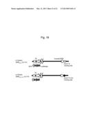 MICRORNA-CONTROLLED RECOMBINANT VACCINIA VIRUS AND USE THEREOF diagram and image