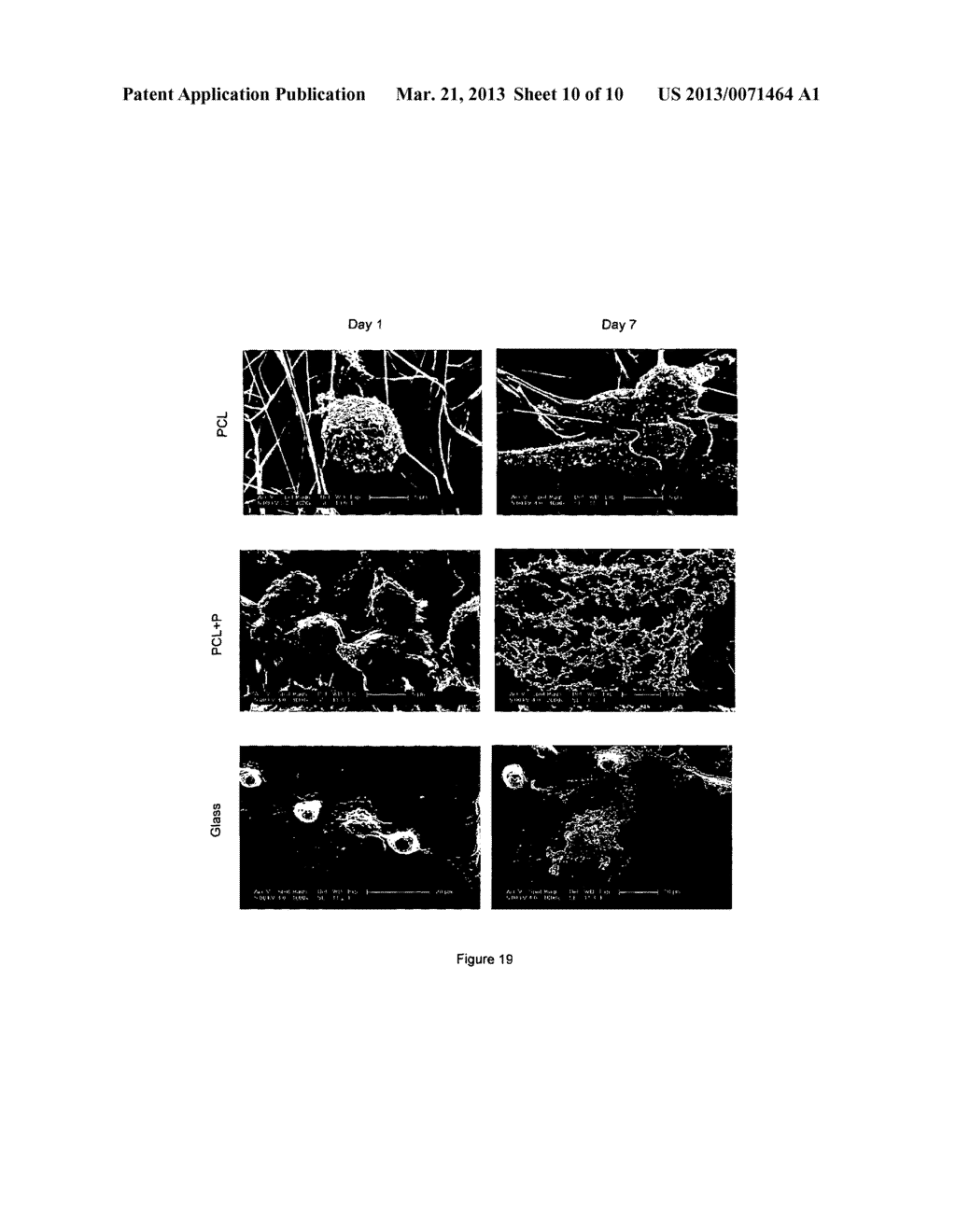 COMPOSITION COMPRISING PHOSPHONIC ACID POLYMER FOR USE AS TISSUE     ENGINEERING FIBROUS SCAFFOLD - diagram, schematic, and image 11