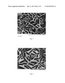 MICROREACTOR COMPRISING A POROUS CERAMIC MATERIAL diagram and image