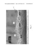 FIBROUS STRUCTURES DERIVED FROM RENEWABLE RESOURCES diagram and image