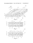 FIBROUS STRUCTURES DERIVED FROM RENEWABLE RESOURCES diagram and image