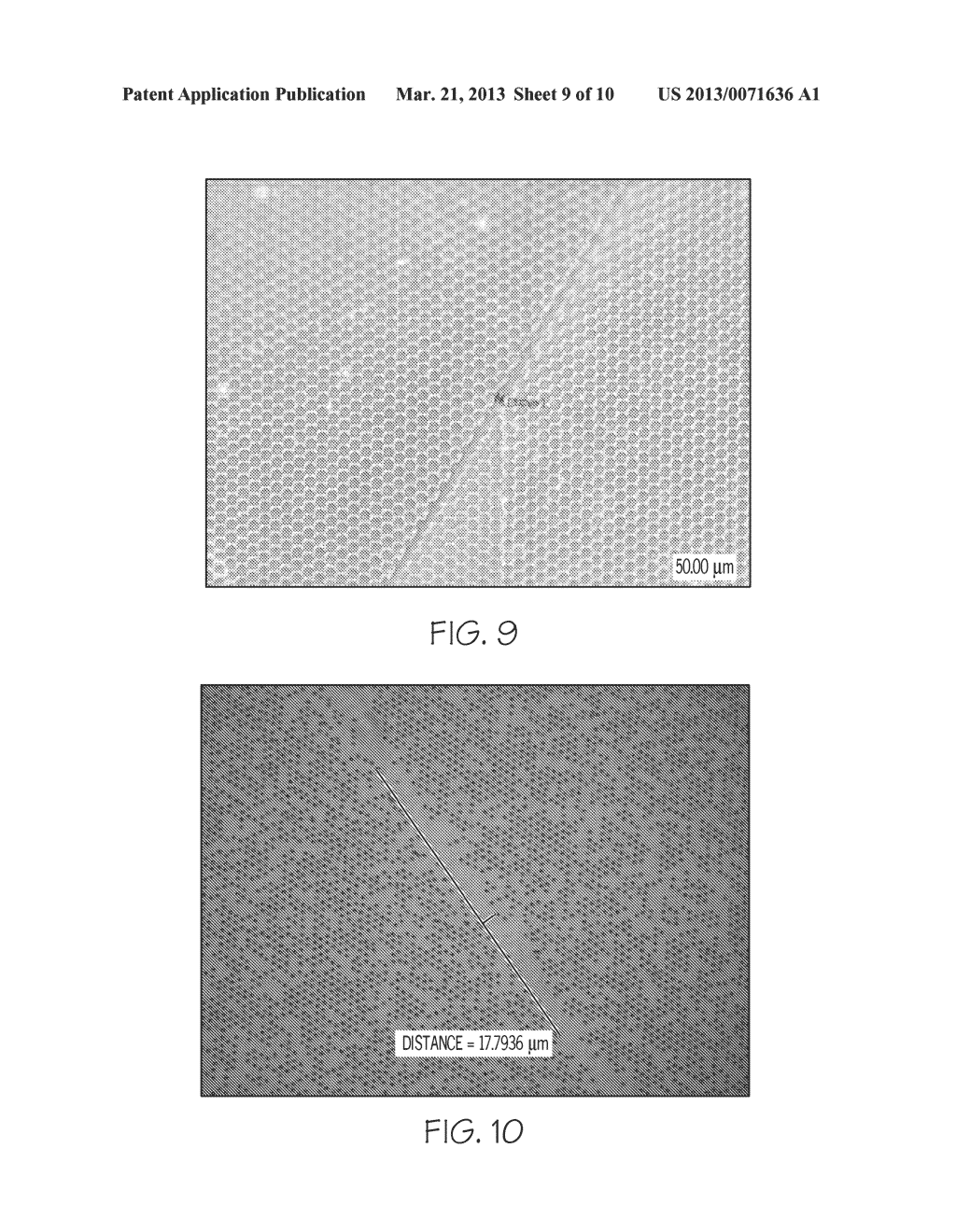 MICROCAVITY CARRIER BELT AND METHOD OF MANUFACTURE - diagram, schematic, and image 10