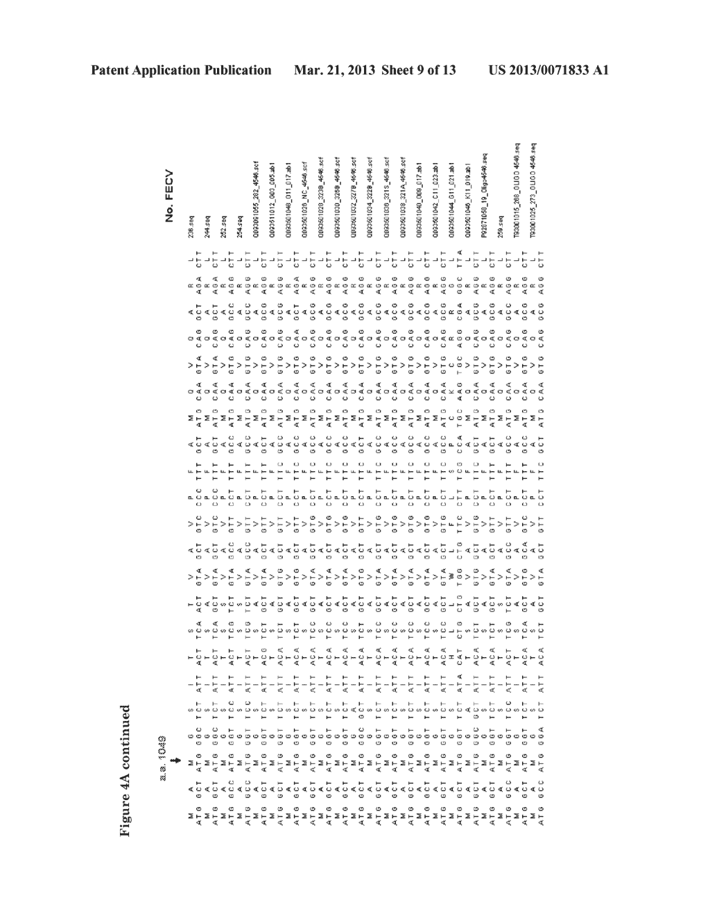 MEANS AND METHODS FOR DISTINGUISHING FECV AND FIPV - diagram, schematic, and image 10