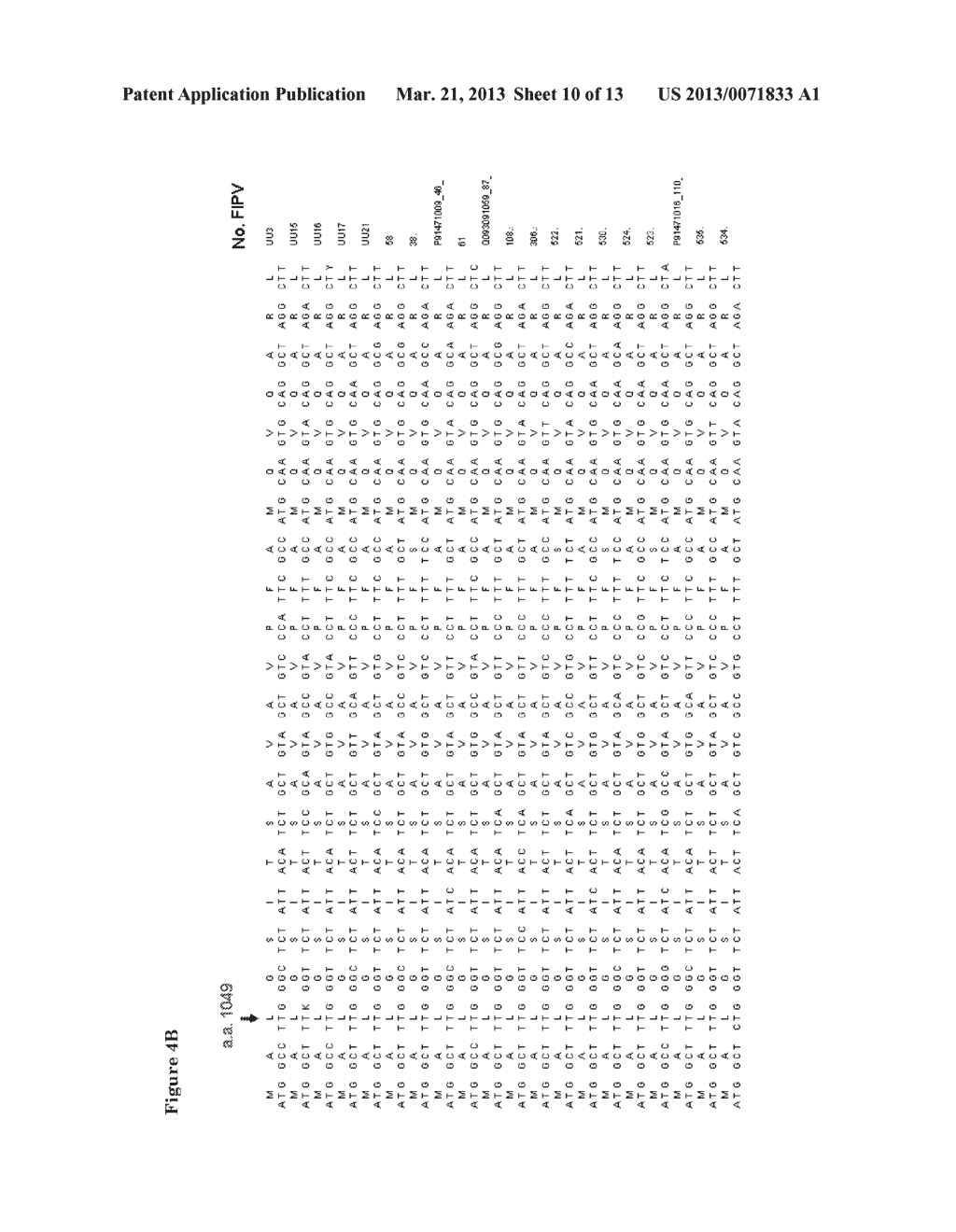 MEANS AND METHODS FOR DISTINGUISHING FECV AND FIPV - diagram, schematic, and image 11