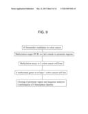 COLON CANCER BIOMARKER DISCOVERY diagram and image