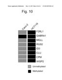 COLON CANCER BIOMARKER DISCOVERY diagram and image