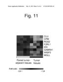 COLON CANCER BIOMARKER DISCOVERY diagram and image