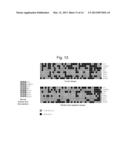 COLON CANCER BIOMARKER DISCOVERY diagram and image