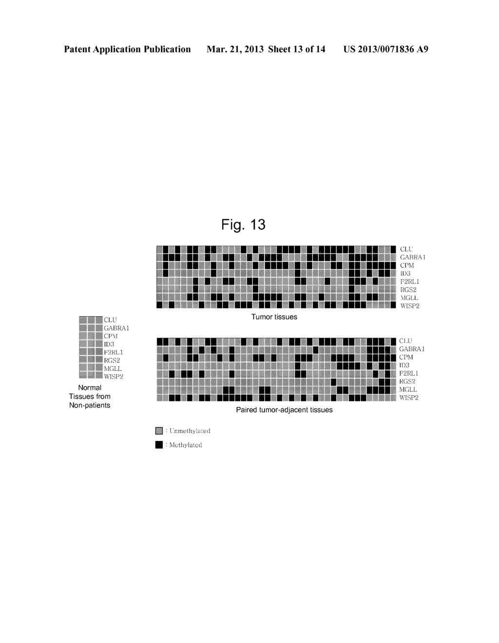 COLON CANCER BIOMARKER DISCOVERY - diagram, schematic, and image 14