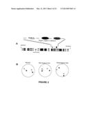 METHODS, PROBE SETS, AND KITS FOR DETECTION OF DELETION OF TUMOR     SUPPRESSOR GENES BY FLUORESCENCE IN SITU HYBRIDIZATION diagram and image