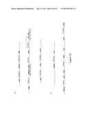 METHODS, PROBE SETS, AND KITS FOR DETECTION OF DELETION OF TUMOR     SUPPRESSOR GENES BY FLUORESCENCE IN SITU HYBRIDIZATION diagram and image