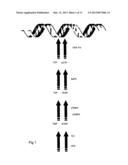 KIT AND METHOD diagram and image