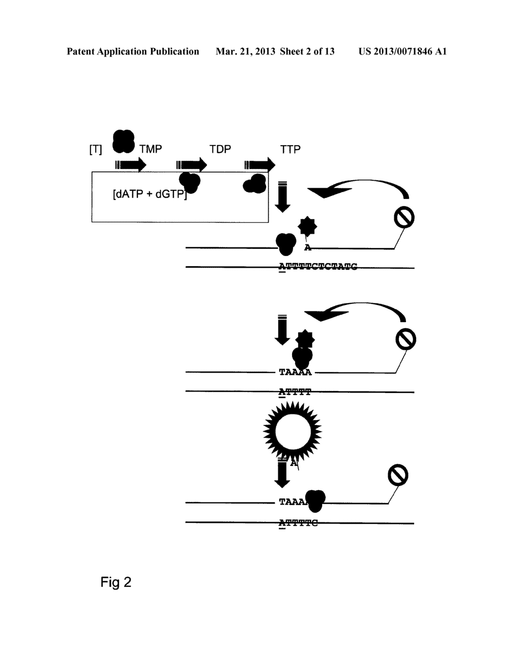 KIT AND METHOD - diagram, schematic, and image 03