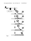 KIT AND METHOD diagram and image