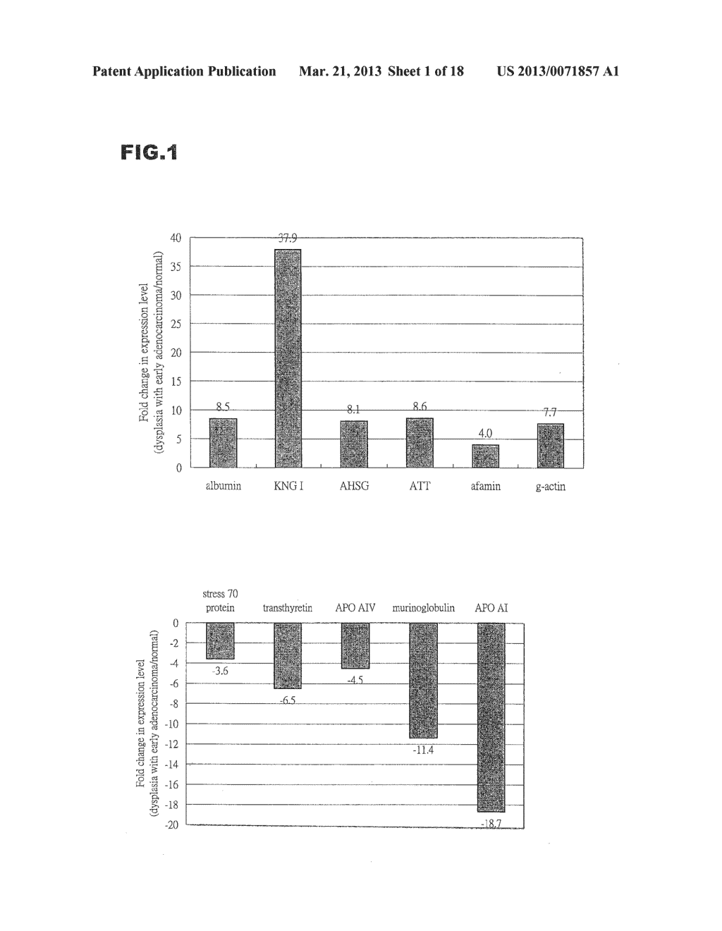 Biomarkers Of Gastric Cancer And Use Thereof - diagram, schematic, and image 02