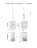 AMPLIFICATION METHODS TO MINIMISE SEQUENCE SPECIFIC BIAS diagram and image