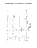 MICROORGANISMS FOR THE PRODUCTION OF 1,4-BUTANEDIOL diagram and image