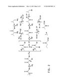 IN SITU EXPRESSION OF LIPASE FOR ENZYMATIC PRODUCTION OF ALCOHOL ESTERS     DURING FERMENTATION diagram and image