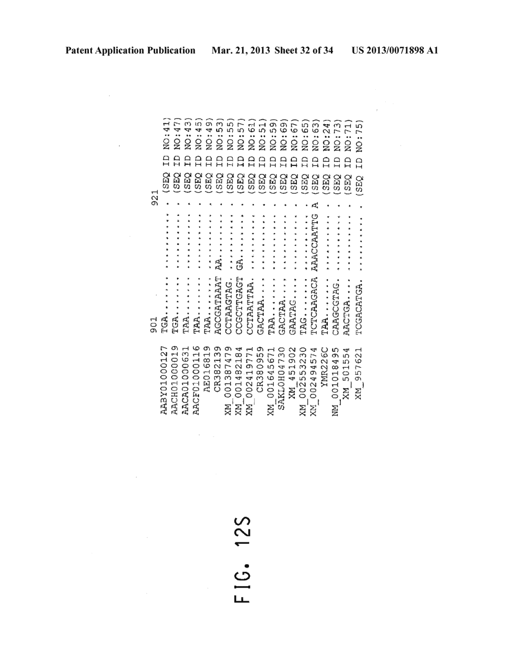 HOST CELLS AND METHODS FOR PRODUCTION OF ISOBUTANOL - diagram, schematic, and image 33