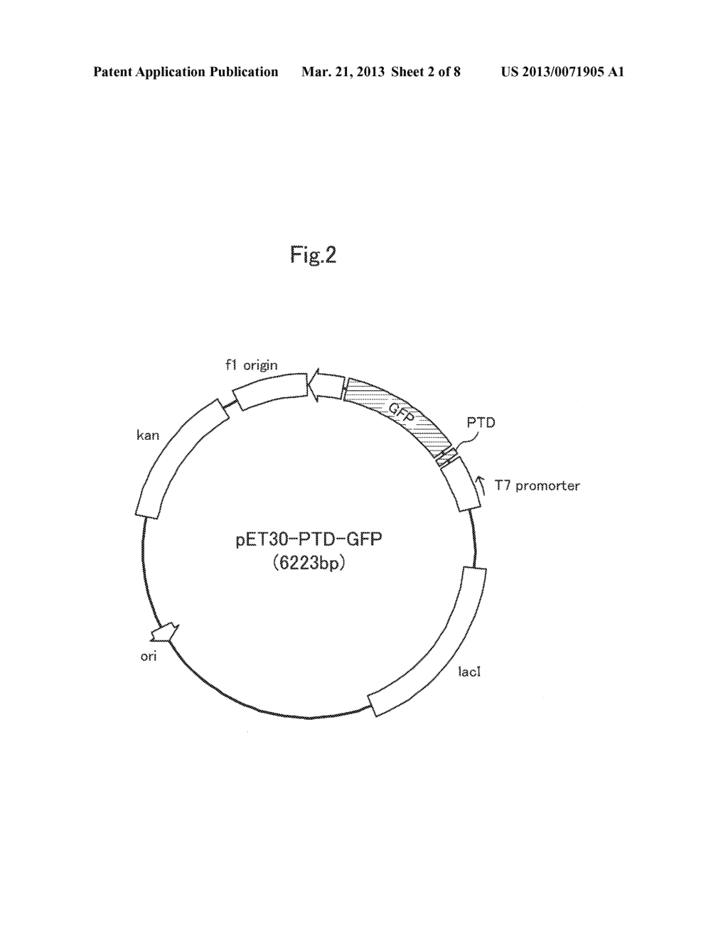 PLASMA IRRADIATION DEVICE FOR SUBSTANCE INTRODUCTION AND SUBSTANCE     INTRODUCTION METHOD USING PLASMA IRRADIATION DEVICE - diagram, schematic, and image 03