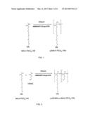 SYNTHETIC COATING FOR CELL CULTURE diagram and image