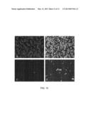 SYNTHETIC COATING FOR CELL CULTURE diagram and image