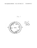 METHOD OF SELECTING INDUCED PLURIPOTENT STEM CELL diagram and image