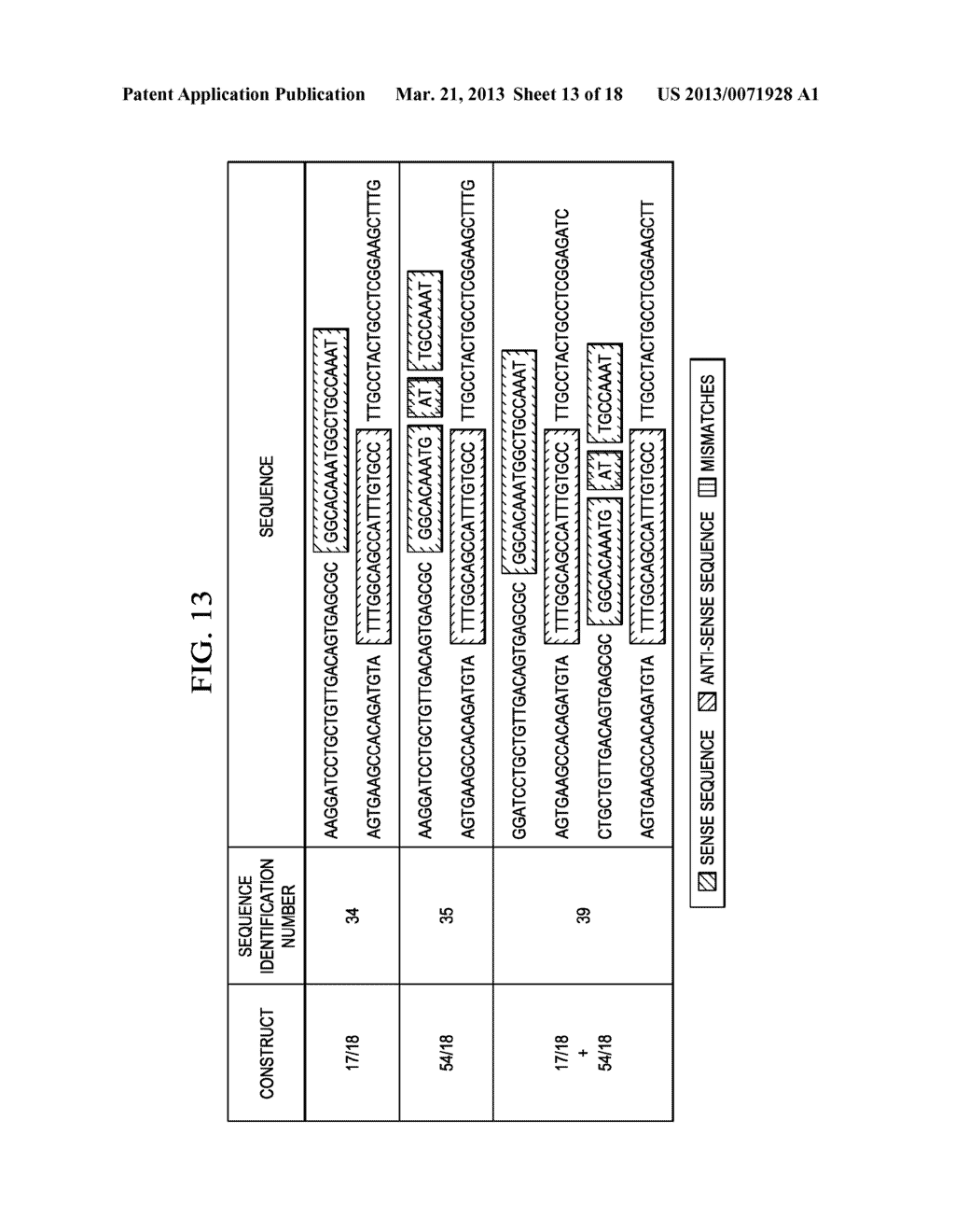 NOVEL SHRNA MOLECULES AND METHODS OF USE THEREOF - diagram, schematic, and image 14