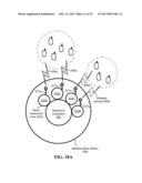 Wireless roaming with dedicated backhaul diagram and image