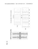 PHYSICAL MAP CONSTRUCTION OF WHOLE GENOME AND POOLED CLONE MAPPING IN     NANOCHANNEL ARRAY diagram and image