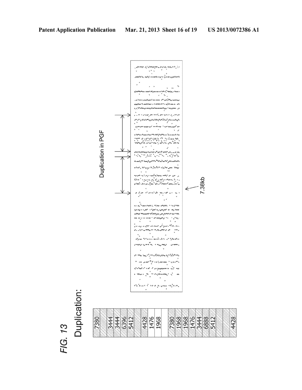 PHYSICAL MAP CONSTRUCTION OF WHOLE GENOME AND POOLED CLONE MAPPING IN     NANOCHANNEL ARRAY - diagram, schematic, and image 17