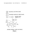 AQUEOUS CLEANING COMPOSITION CONTAINING COPPER-SPECIFIC CORROSION     INHIBITOR FOR CLEANING INORGANIC RESIDUES ON SEMICONDUCTOR SUBSTRATE diagram and image