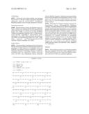 NEUREGULIN ISOFORMS,NEUREGULIN POLYPEPTIDES AND USES THEREOF diagram and image