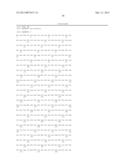 NEUREGULIN ISOFORMS,NEUREGULIN POLYPEPTIDES AND USES THEREOF diagram and image