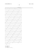 NEUREGULIN ISOFORMS,NEUREGULIN POLYPEPTIDES AND USES THEREOF diagram and image